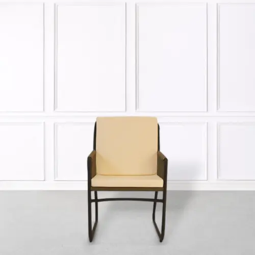 Outdoor Lounge Chair